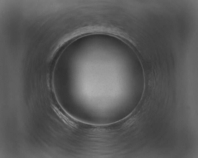 X0000054401499200508011309
