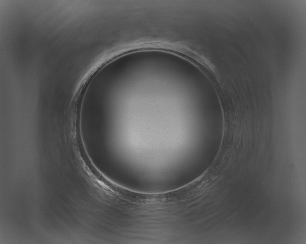 X0000054401504200508011309
