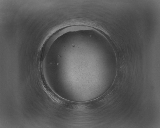 X0000054401507200508011309