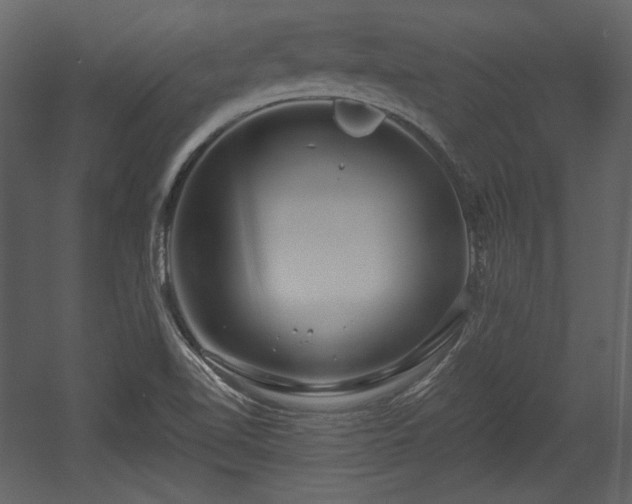 X0000054401510200508011309