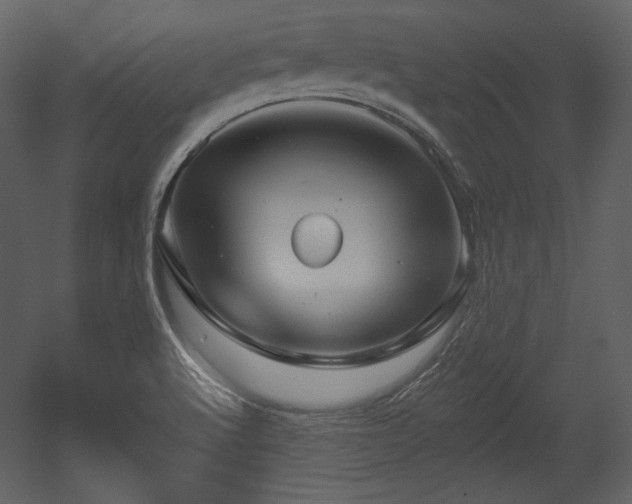 X0000054401512200508011309