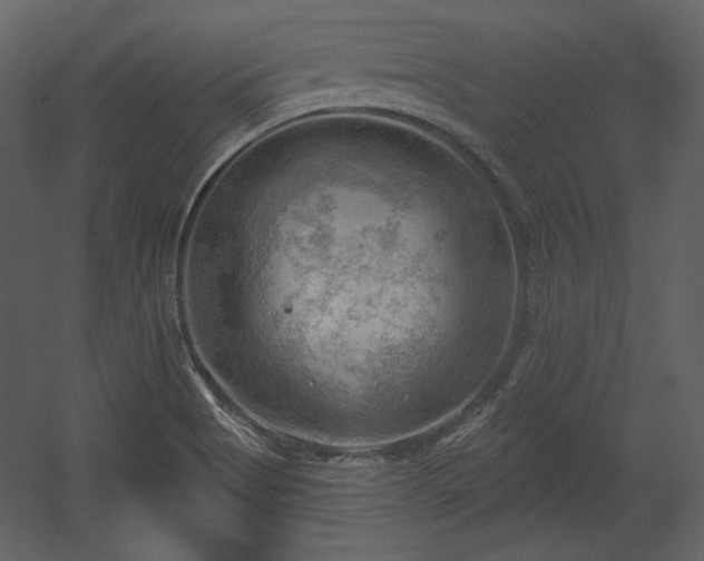 X0000054401513200508011309