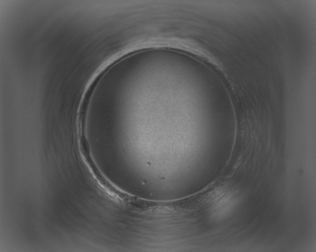 X0000054401517200508011309