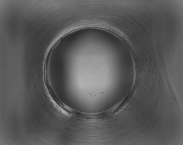 X0000054401520200508011309