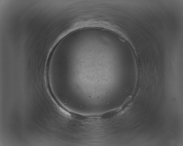 X0000054401525200508011309