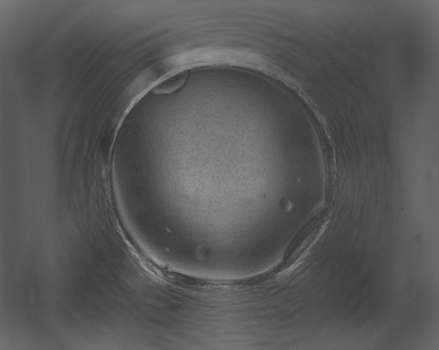 X0000054401529200508011309