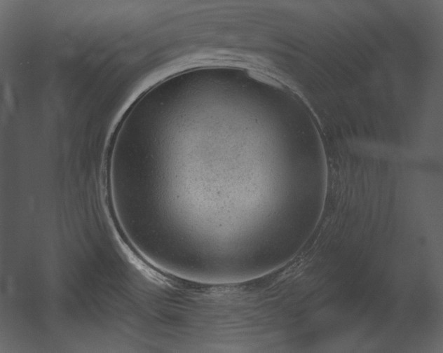X0000054401531200508011309