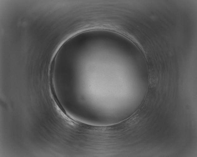 X0000054401532200508011309