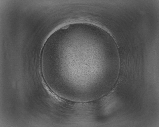 X0000054401534200508011309