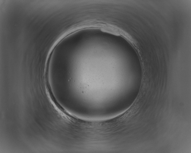 X0000054401536200508011309