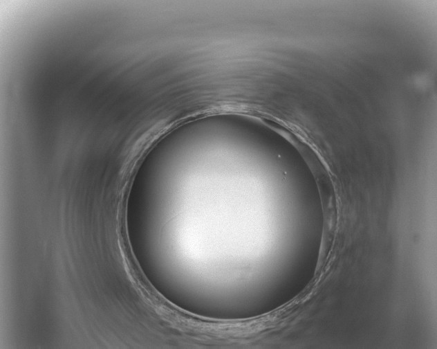 X0000054400001200508051726