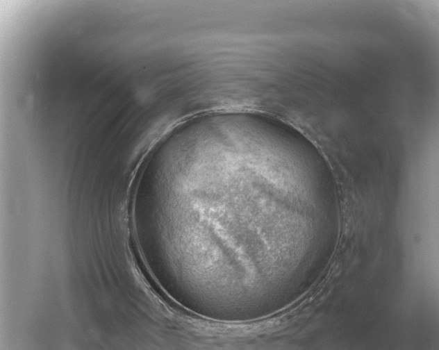 X0000054400002200508051726