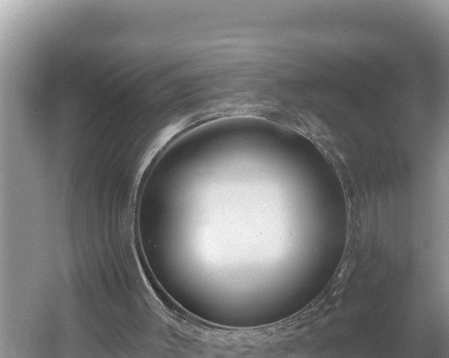 X0000054400003200508051726