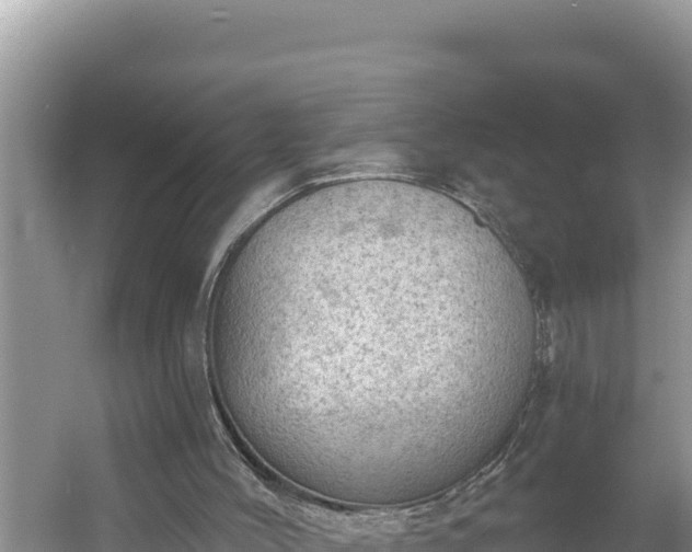 X0000054400004200508051726