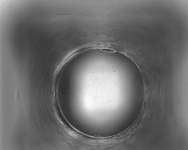 X0000054400005200508051726