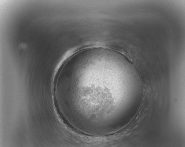 X0000054400006200508051726