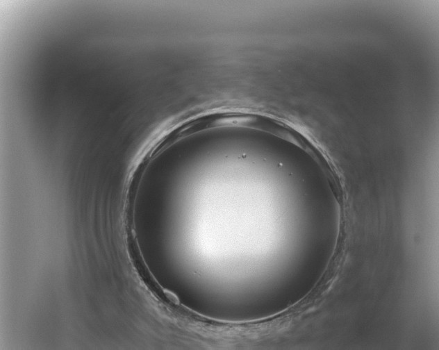 X0000054400007200508051726