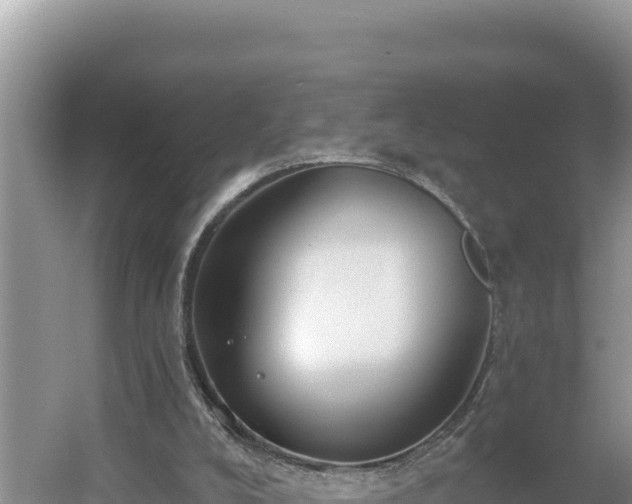 X0000054400008200508051726