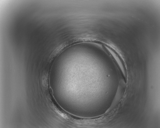 X0000054400009200508051726