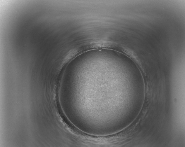 X0000054400010200508051726