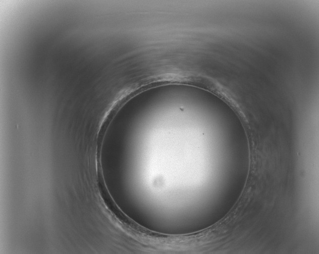 X0000054400011200508051725