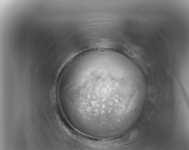 X0000054400012200508051725