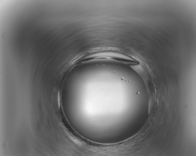 X0000054400013200508051725