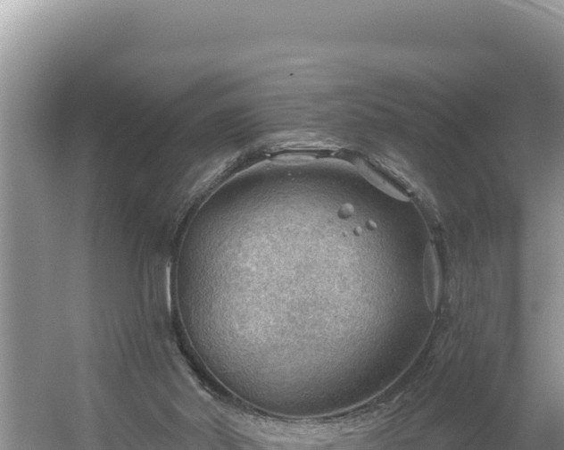 X0000054400014200508051725