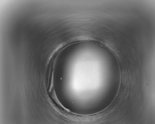 X0000054400015200508051725