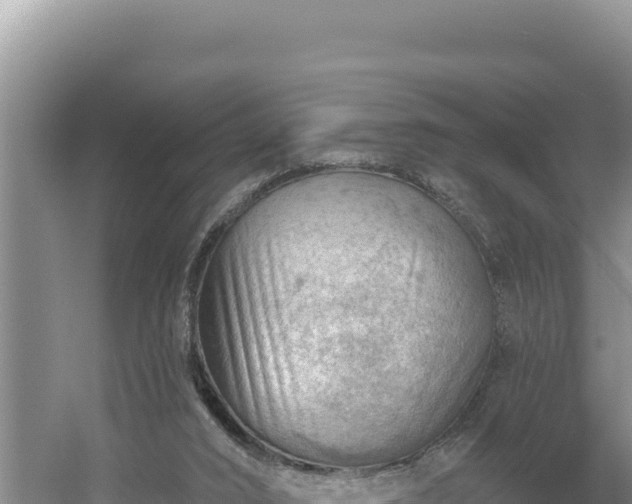 X0000054400016200508051725