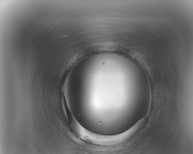 X0000054400017200508051725