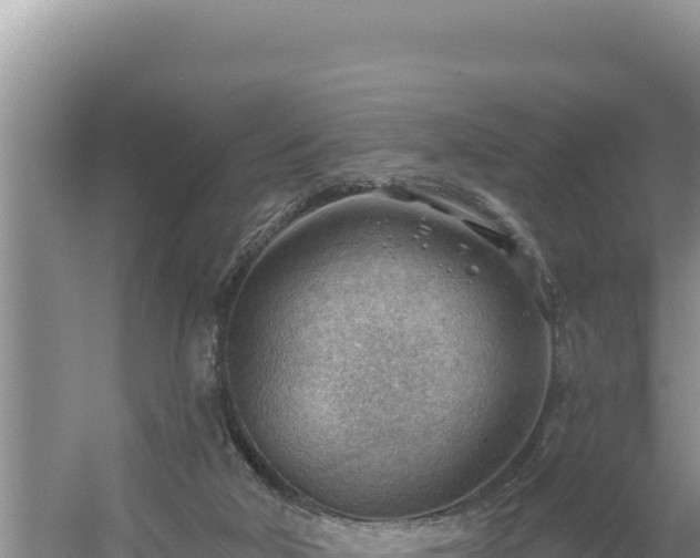 X0000054400018200508051725