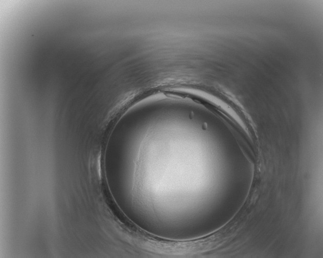 X0000054400019200508051725