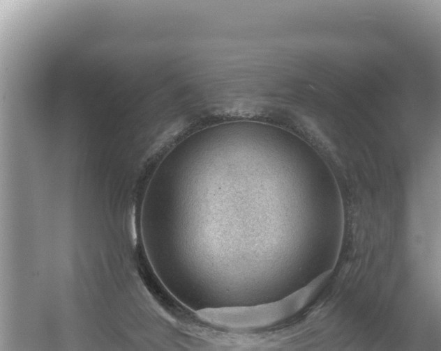 X0000054400020200508051725