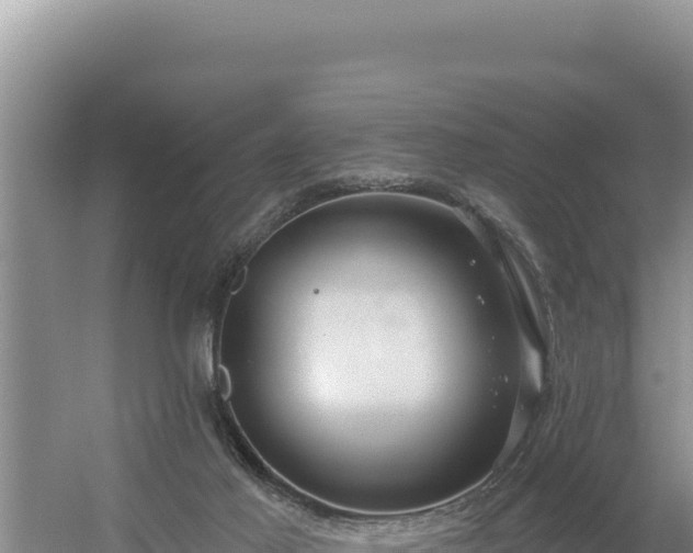 X0000054400021200508051725