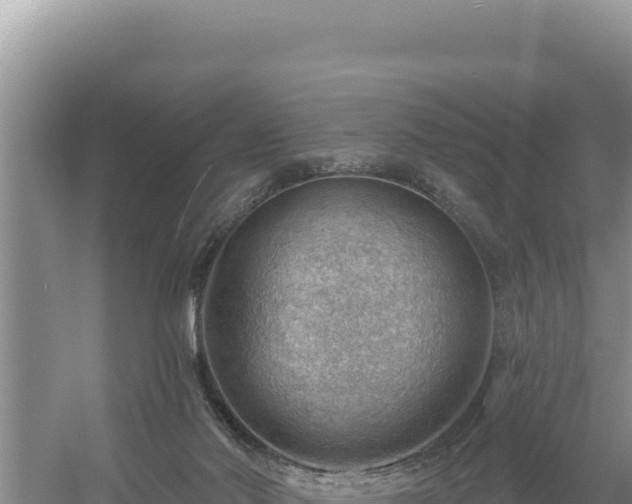 X0000054400022200508051725