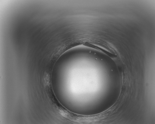 X0000054400025200508051725