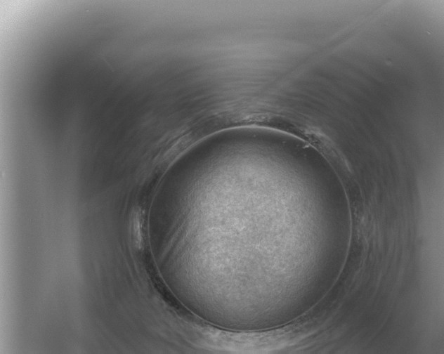 X0000054400026200508051725