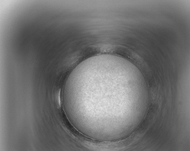 X0000054400028200508051725