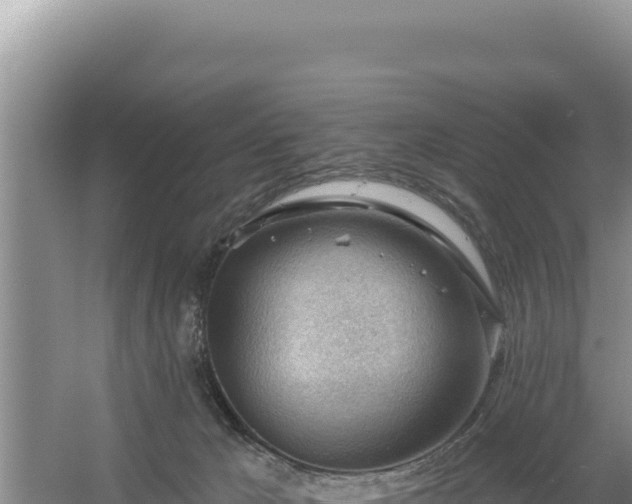 X0000054400029200508051725