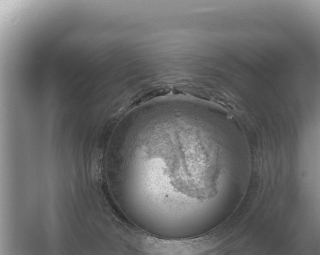 X0000054400030200508051725