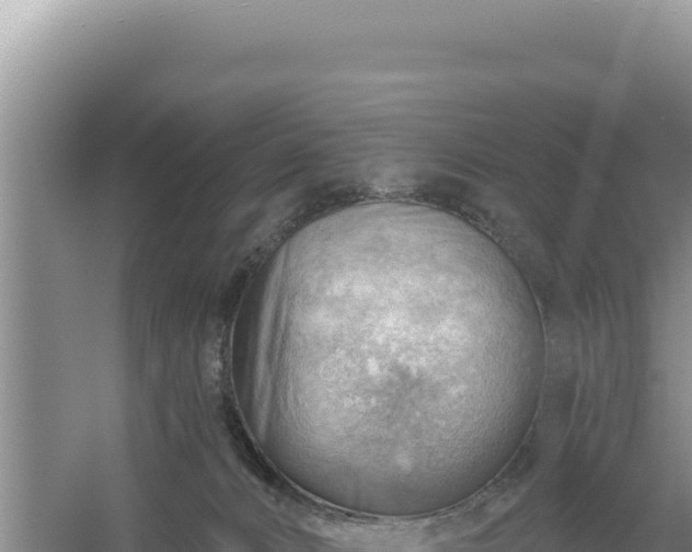 X0000054400032200508051725