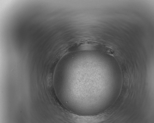 X0000054400034200508051725