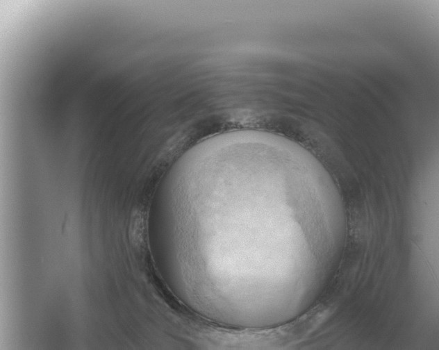 X0000054400036200508051725