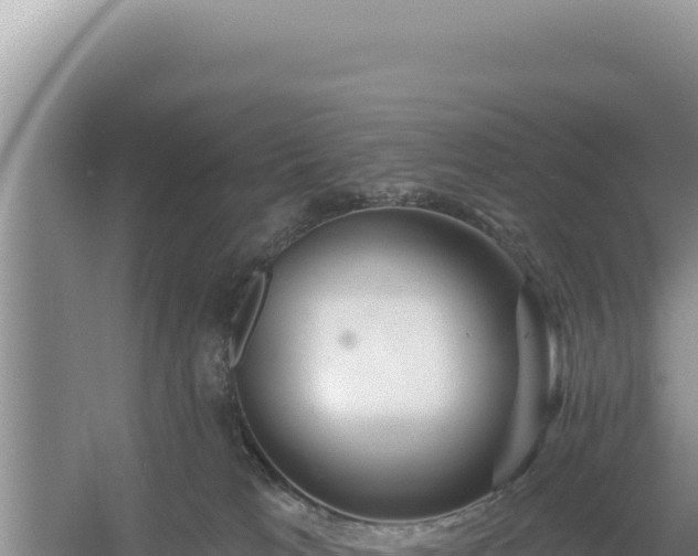 X0000054400037200508051725