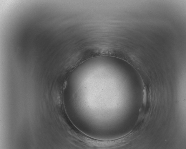 X0000054400039200508051725