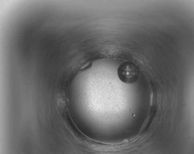 X0000054400040200508051725