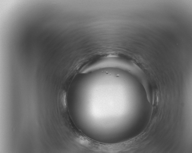 X0000054400041200508051725