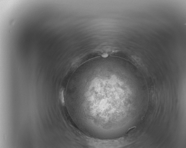 X0000054400042200508051725