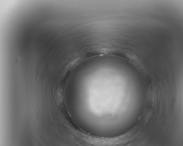 X0000054400043200508051725